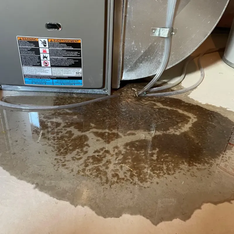 Appliance Leak Cleanup in Marlinton, WV