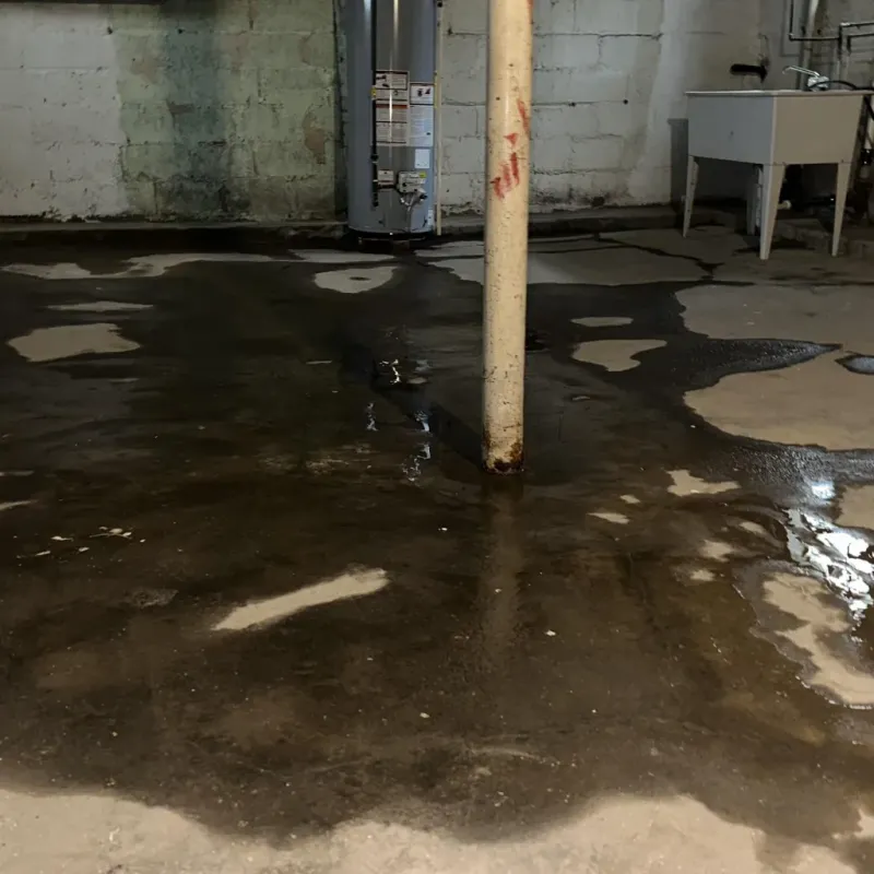 Emergency Water Extraction And Removal in Marlinton, WV